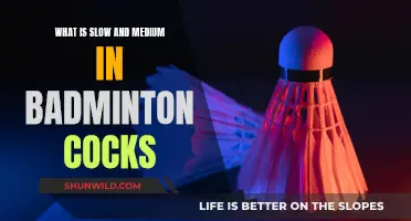Badminton Cocks: Understanding Slow and Medium Pace Play