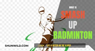 Smash Up Badminton: A New Sport Sensation
