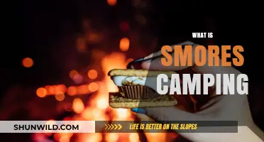 S'mores and Campfires: The Perfect Camping Duo
