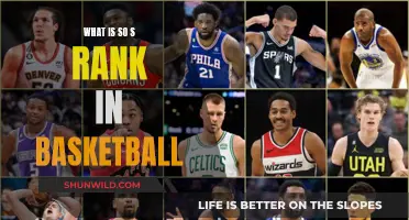 The Intricacies of Basketball's Elite 'S-Rank' Players