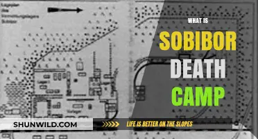 Unveiling the Horrors: Sobibor Death Camp's Dark History