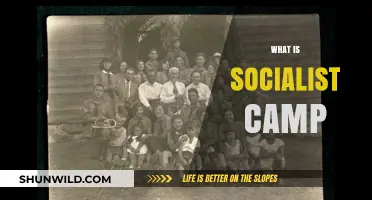 Exploring the Ideals and Structure of the Socialist Camp