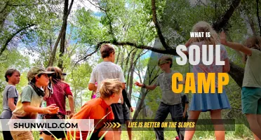 Exploring the Depths of Soul Camp: A Journey Within