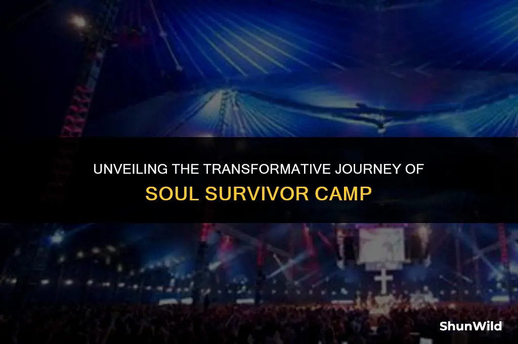 what is soul survivor camp