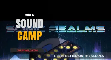 Exploring Sonic Realms: A Journey into the World of Sound Camps