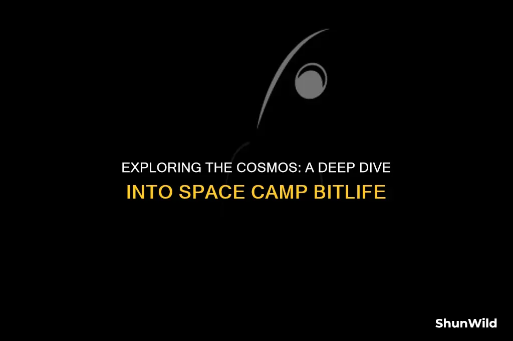 what is space camp bitlife