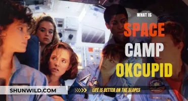Exploring the Cosmos of Connections: Space Camp on OkCupid