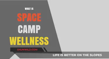 Exploring the Cosmos of Well-being: What is Space Camp Wellness?