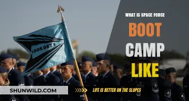 Exploring the Rigors of Space Force Boot Camp: A Recruit's Journey