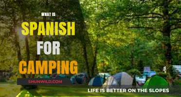 Exploring the Great Outdoors: What's Spanish for Camping?