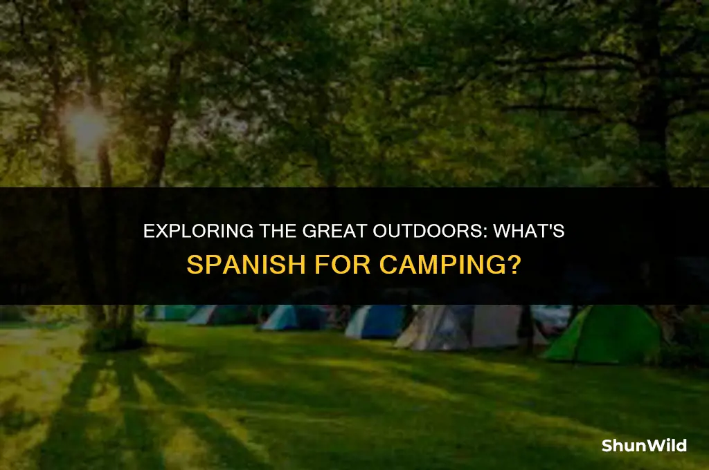 what is spanish for camping