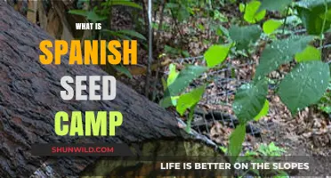 Exploring the Spanish Seed Camp: A Beginner's Guide