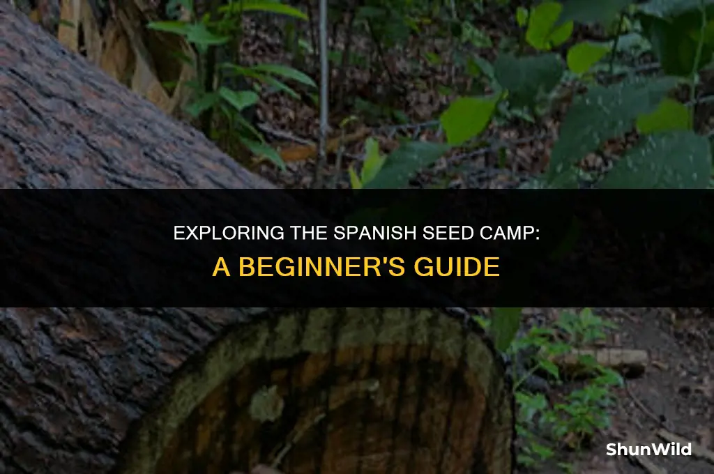 what is spanish seed camp