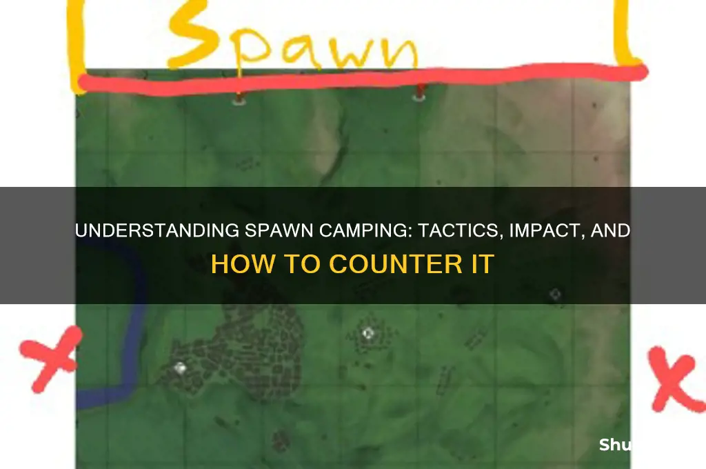 what is spawn camping