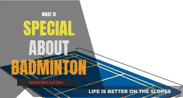 Badminton: Unique Features, Ultimate Fun!