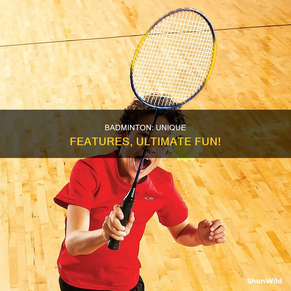 what is special about badminton
