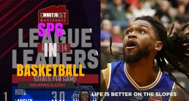 SPG in Basketball: The Ultimate Guide to Steals, Possessions, and Guards