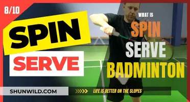 Spin Serve Badminton: Mastering the Art