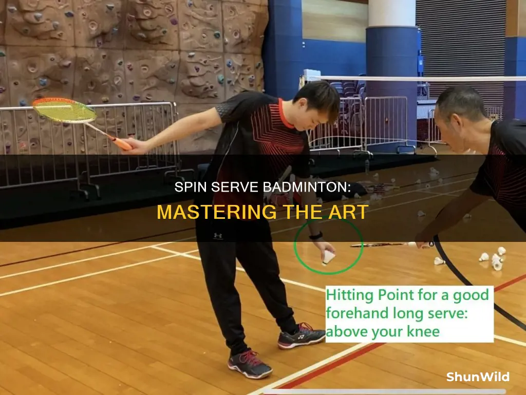 what is spin serve badminton