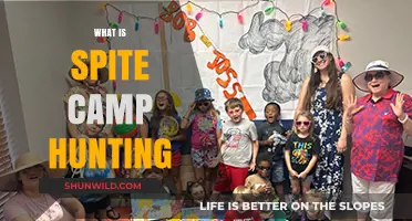 Decoding Spite Camp Hunting: A Beginner's Guide to the Basics