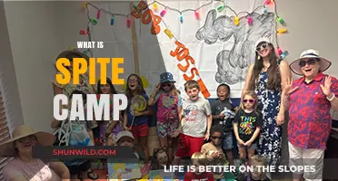 Decoding Spite Camp: A Deep Dive into Online Retaliation