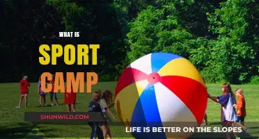 Exploring the World of Sports Camps: A Comprehensive Guide
