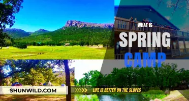 Exploring the Wonders of Spring Camp: A Journey into Renewal