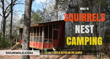 Exploring the Great Outdoors: A Guide to Squirrel's Nest Camping