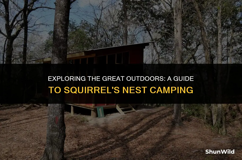 what is squirrels nest camping