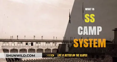 Understanding the SS Camp System: A Historical Overview