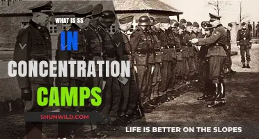 Understanding the SS Role in Nazi Concentration Camps: A Historical Overview