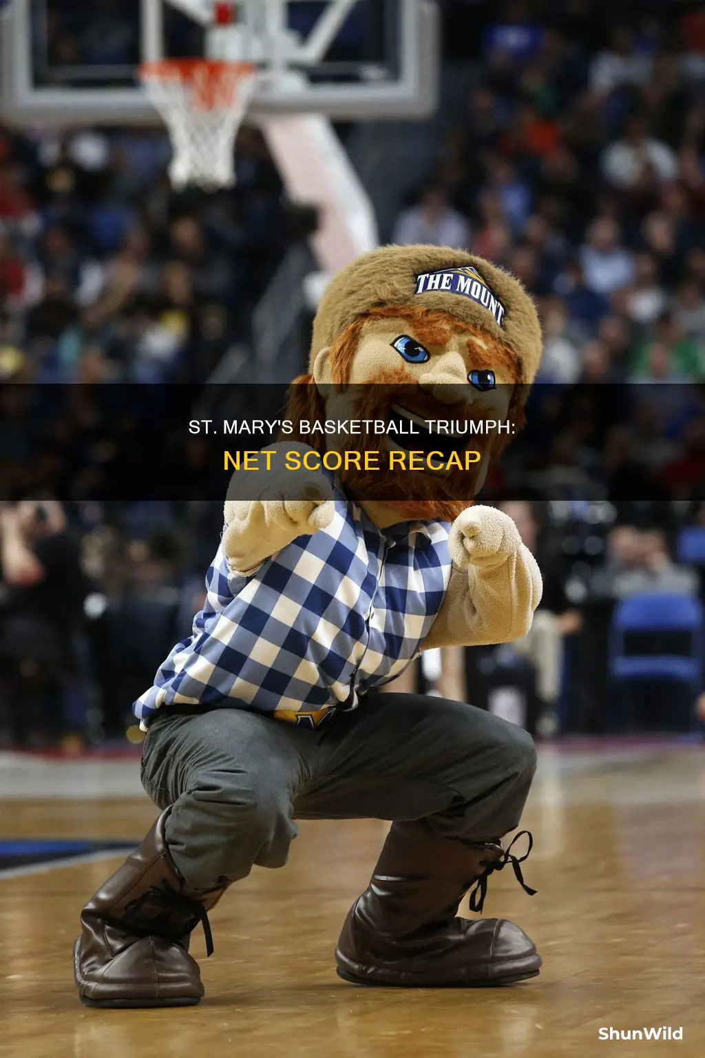 what is st mary
