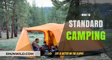 Exploring the Essentials: What Constitutes Standard Camping?