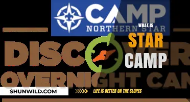 Exploring the Wonders of Star Camp: A Celestial Adventure Awaits