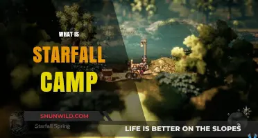 Exploring the Enchanting World of Starfall Camp: A Beginner's Guide