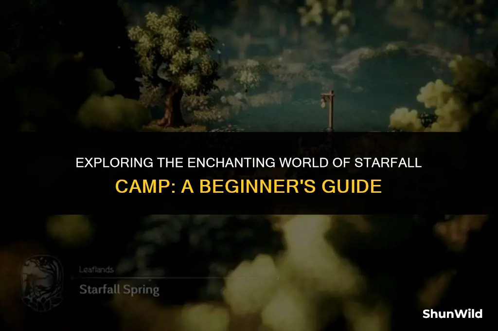 what is starfall camp