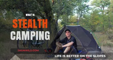 Stealth Camping 101: Mastering the Art of Discreet Outdoor Adventures