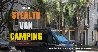 Exploring the Art of Stealth Van Camping: A Beginner's Guide