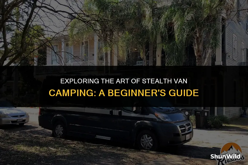 what is stealth van camping