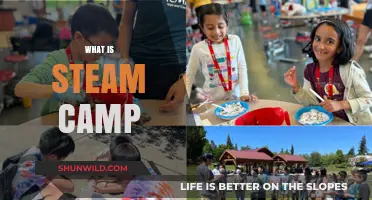 Exploring the Exciting World of Steam Camp: A Unique Learning Experience