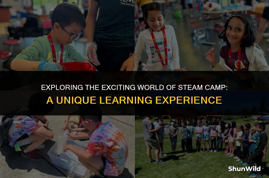 what is steam camp