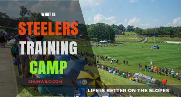 Exploring the Intensity and Camaraderie of Steelers Training Camp