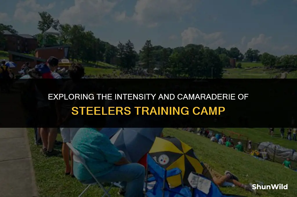 what is steelers training camp