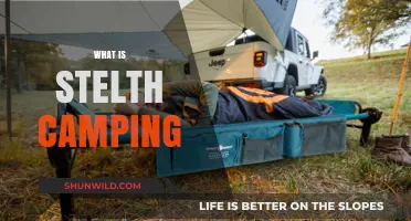 Exploring the Art of Stealth Camping: A Beginner's Guide