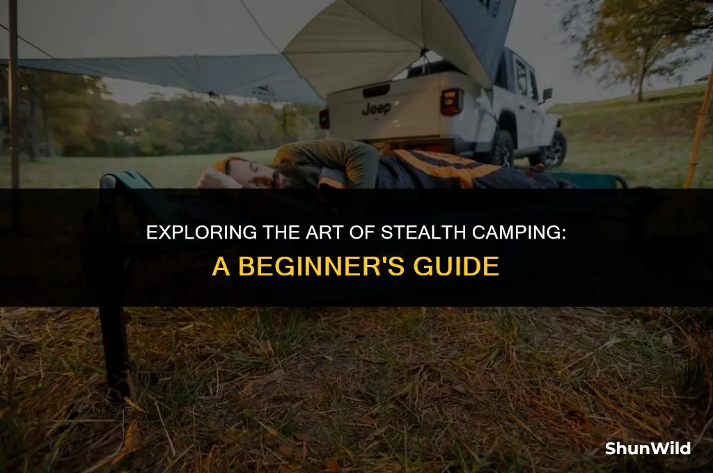 what is stelth camping