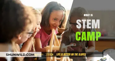 Exploring STEM Camp: Fun, Learning, and Innovation for Kids
