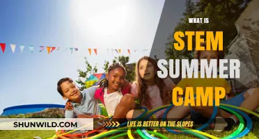 Exploring STEM: A Summer Camp Journey for Young Innovators