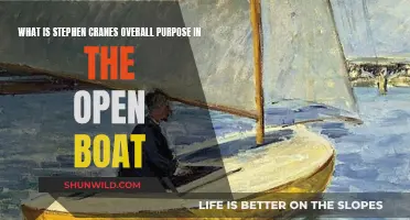 The Open Boat: Stephen Crane's Purpose and Intent