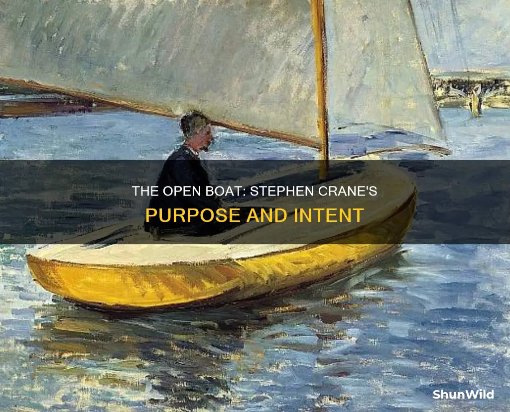 what is stephen cranes overall purpose in the open boat