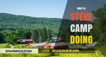 Exploring Steve Camp's Latest Ventures and Passions